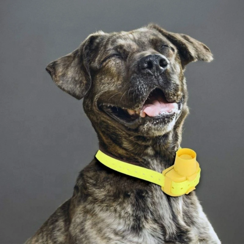 Outdoor Hunting Dog Collar - Ulepszone obroże z beeperem dla psów
