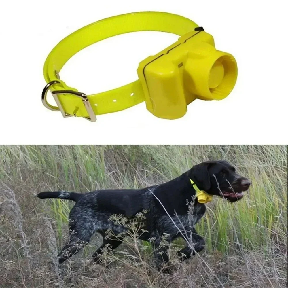 Zaktualizowane obroże z sygnal – Outdoor Hunting Dog Collar recenzja i cena