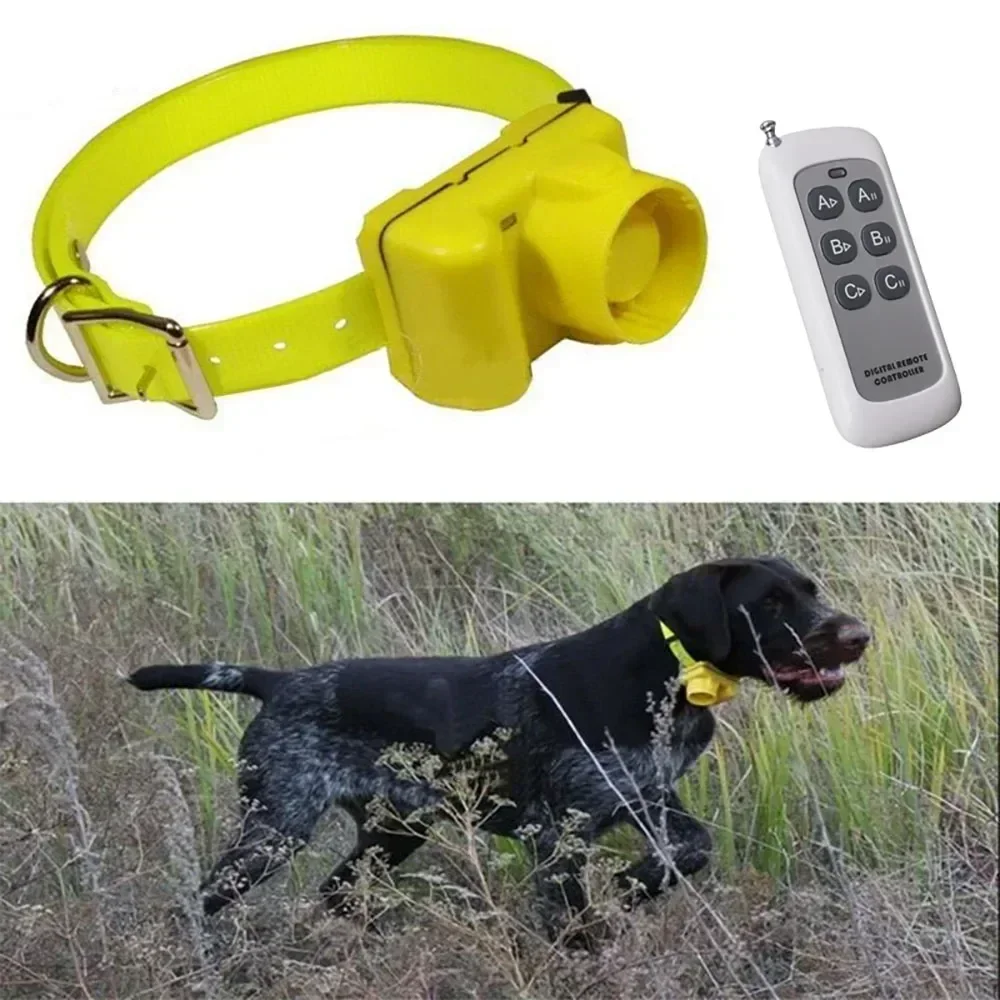 Ulepszony wodoodporny obroża z – Outdoor Hunting Dog Collar recenzja i cena